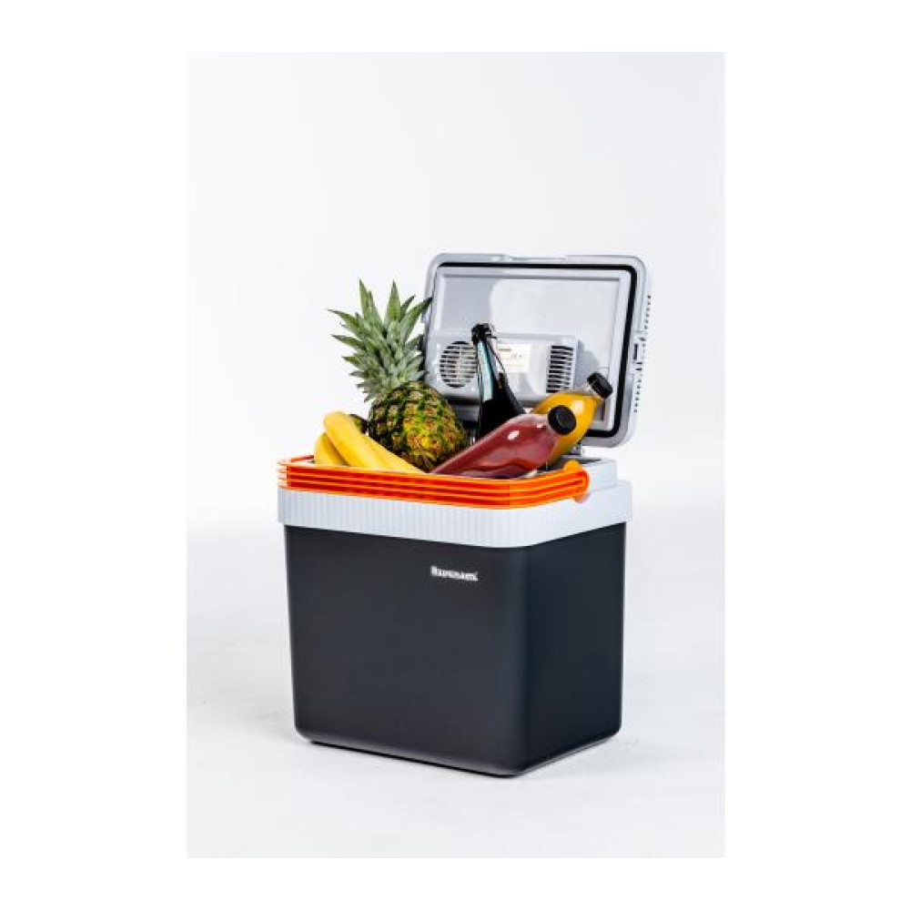 Una borsa frigo aperta piena di frutta e bottiglie.