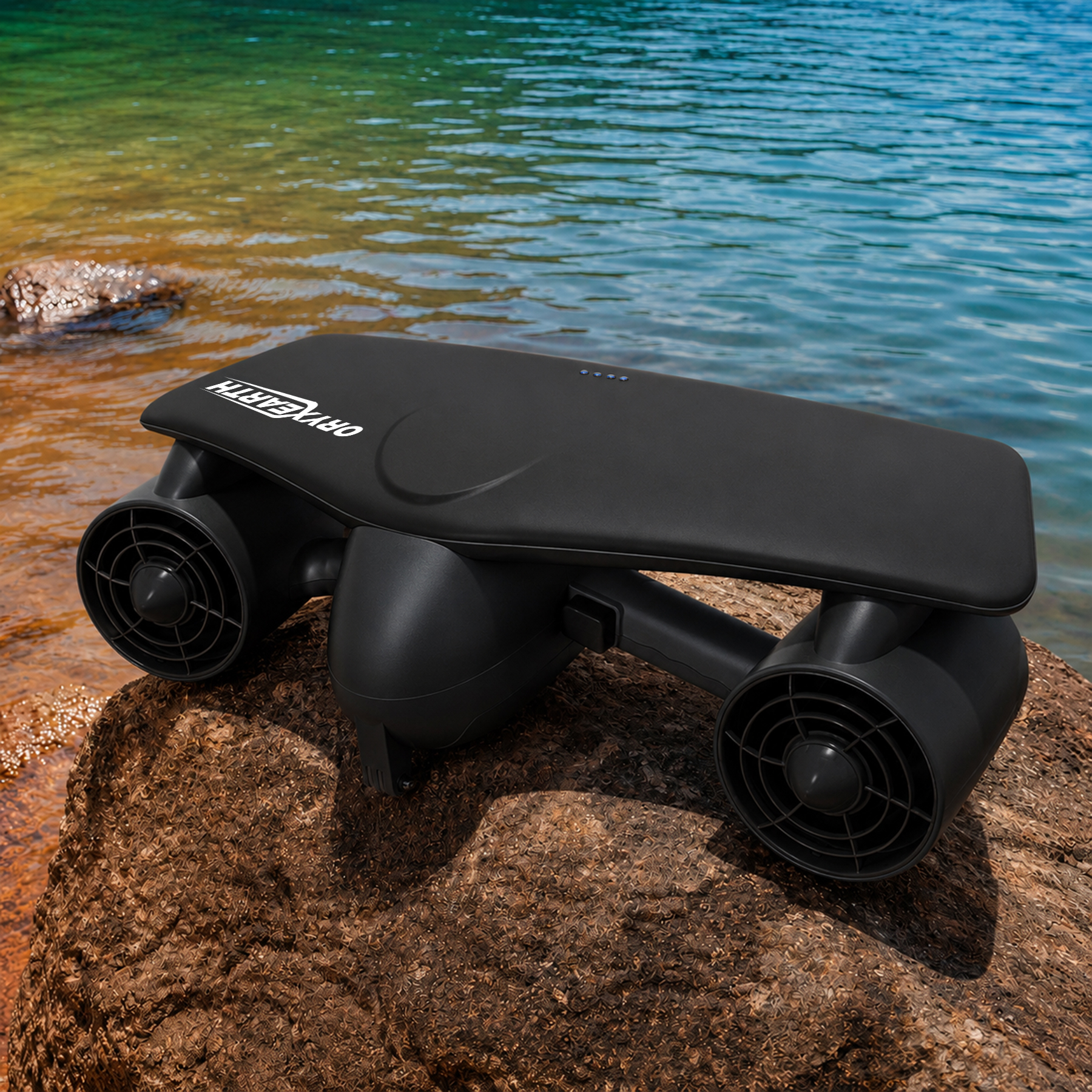 Schwarzer Unterwasserroller auf einem Felsen am Wasser.
