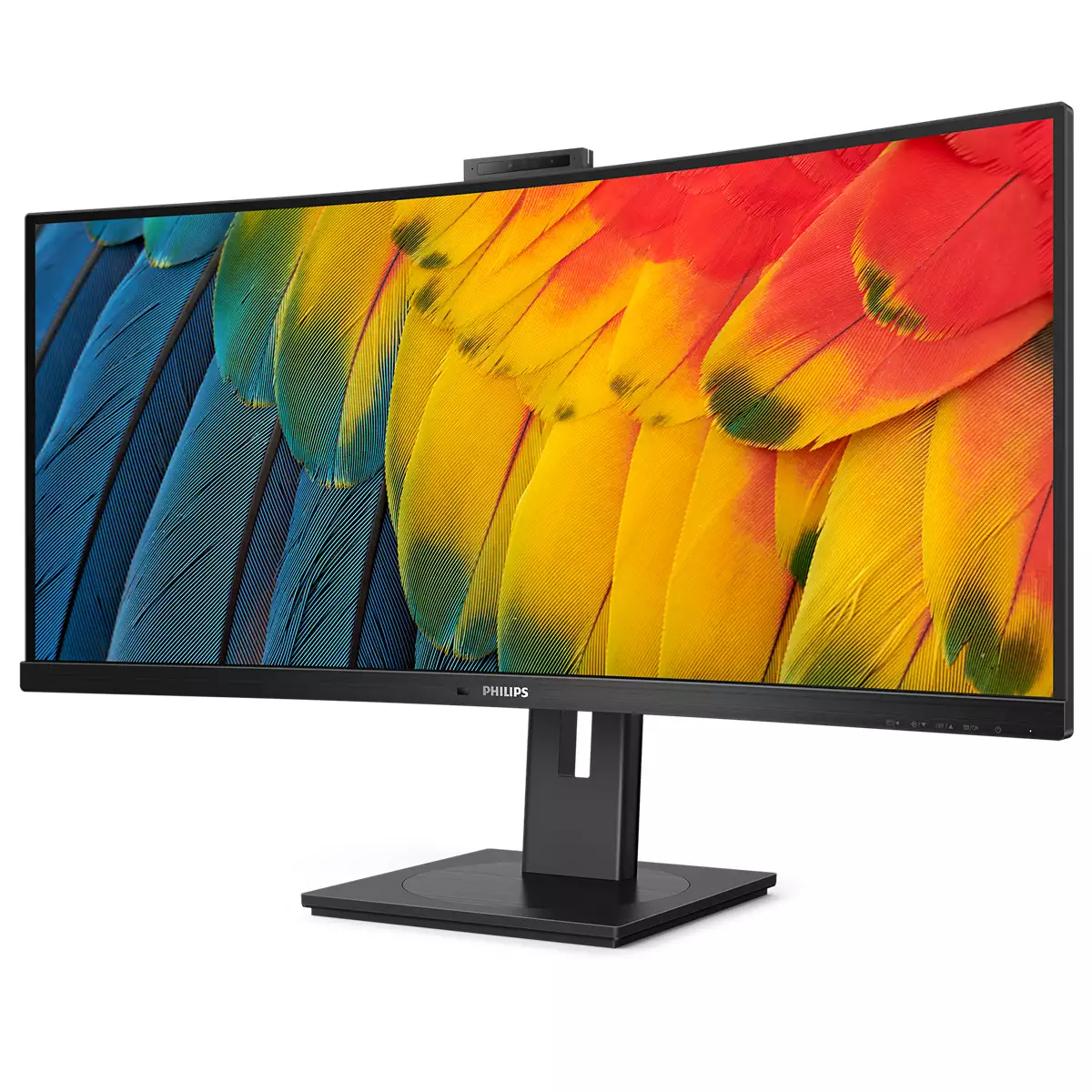 Zakrzywiony monitor Philips wyświetlający kolorowy wzór piór papugi.