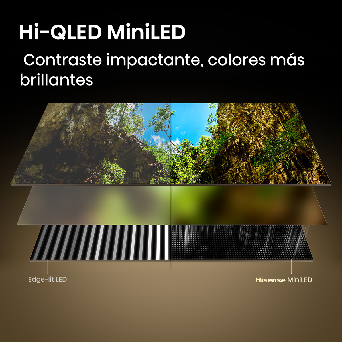 Vista explosionada de tecnología Hi-QLED MiniLED con imágenes de bosque.