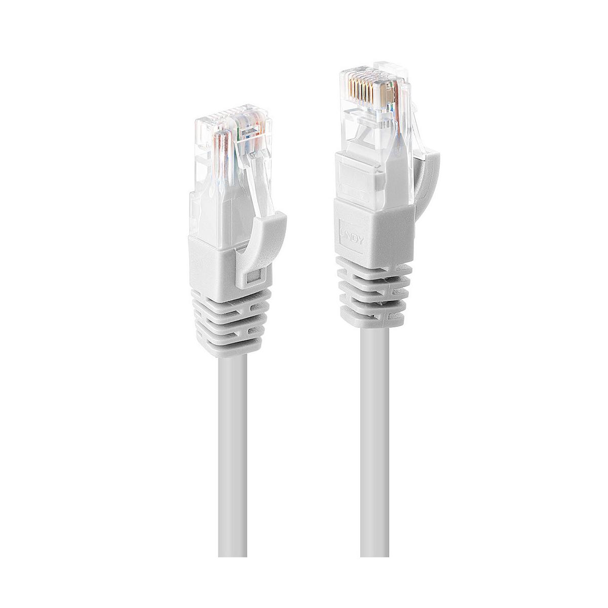 Due connettori Ethernet bianchi con cappucci trasparenti e cavi grigi.