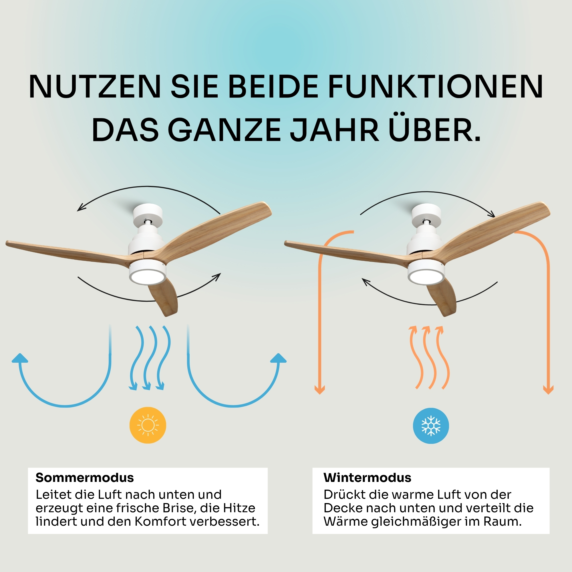 Zwei Deckenventilatoren im Sommer- und Wintermodus mit Luftstrompfeilen.