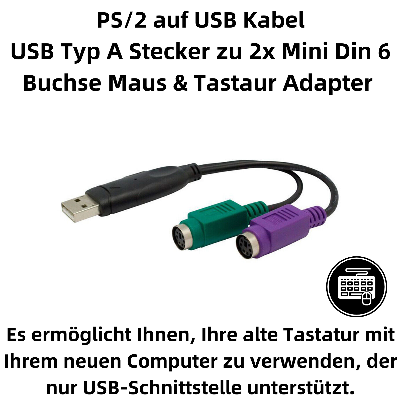 Ein schwarzer USB-A-Anschluss teilt sich in grüne und lila PS/2-Anschlüsse.