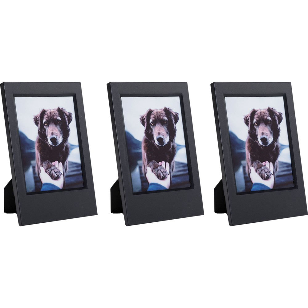Yan yana üç siyah fotoğraf çerçevesi, her birinde bir köpek resmi.