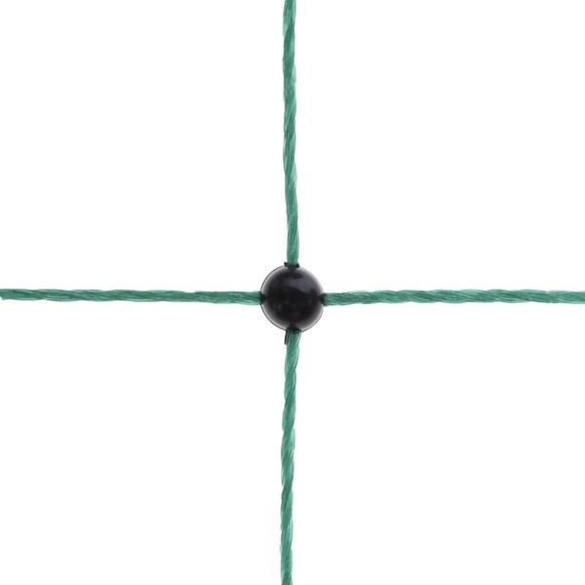 Rete verde con perlina nera all'incrocio dei fili.