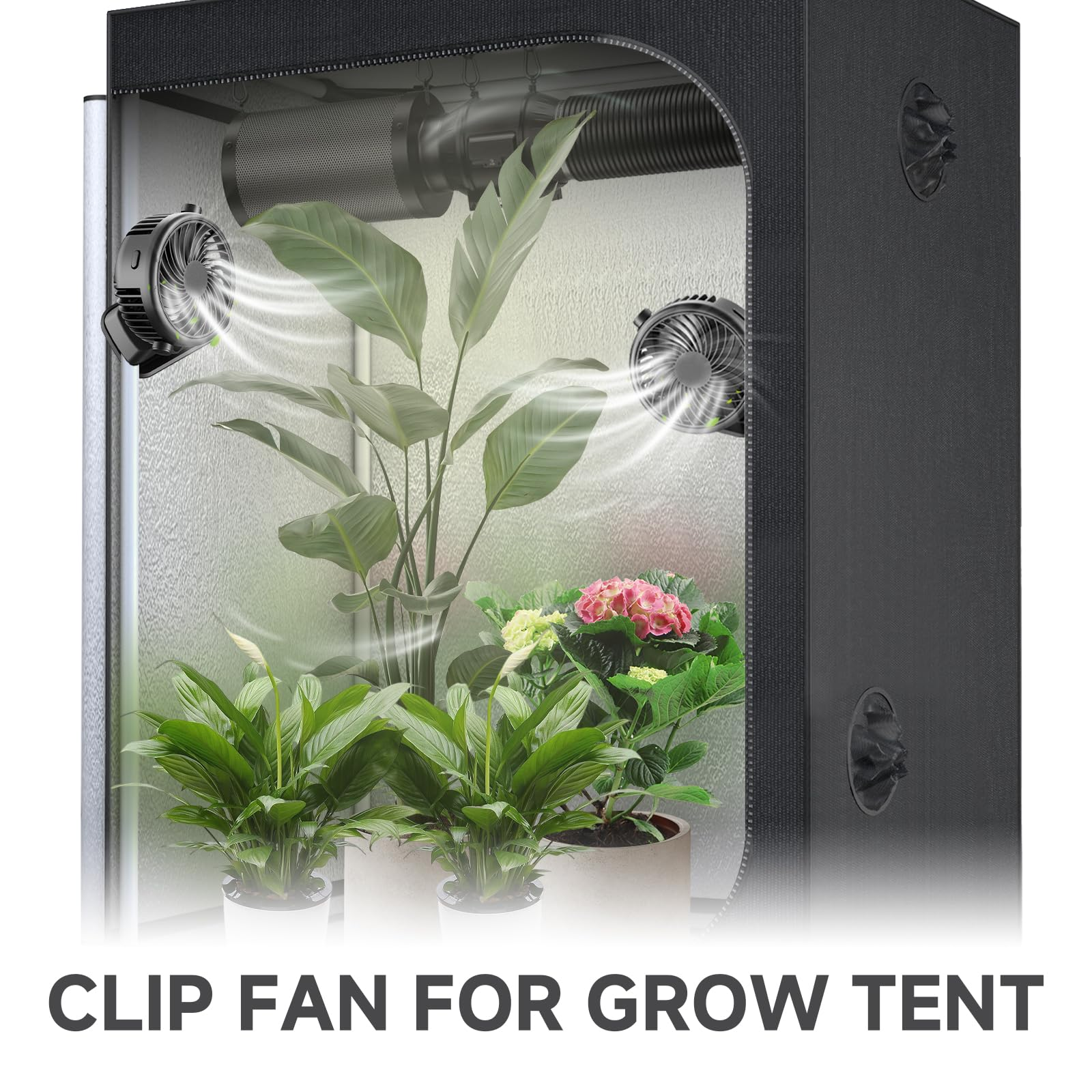 Zwei kleine Ventilatoren zirkulieren Luft in einem dunklen Grow-Zelt mit grünen Pflanzen.
