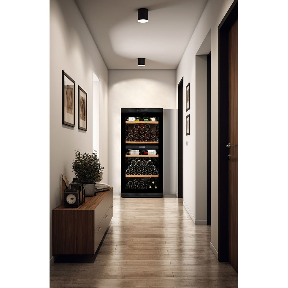 Pasillo con vinoteca, cómoda, plantas y cuadros.