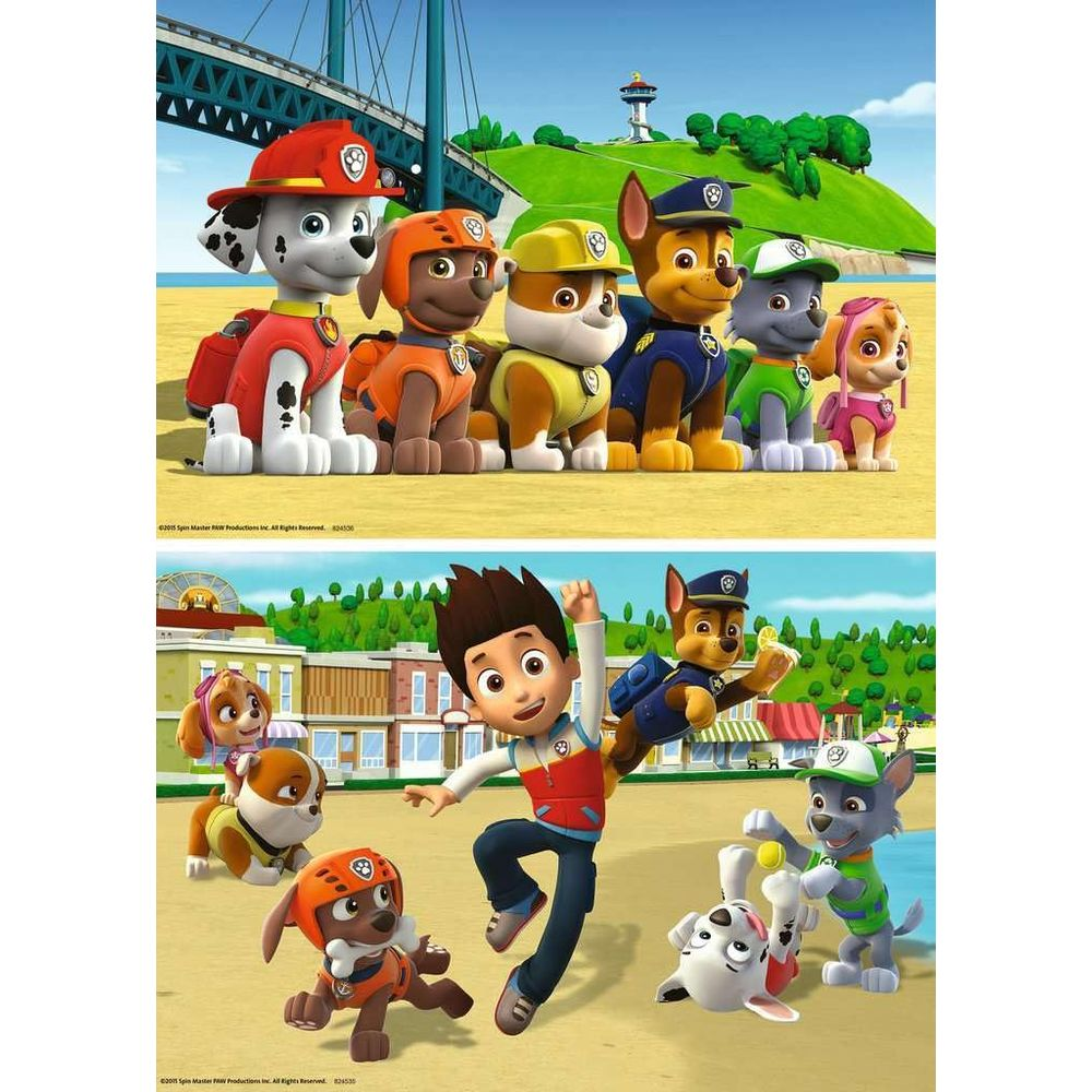 Sei cani di Paw Patrol e un ragazzo su una spiaggia e una collina verde.