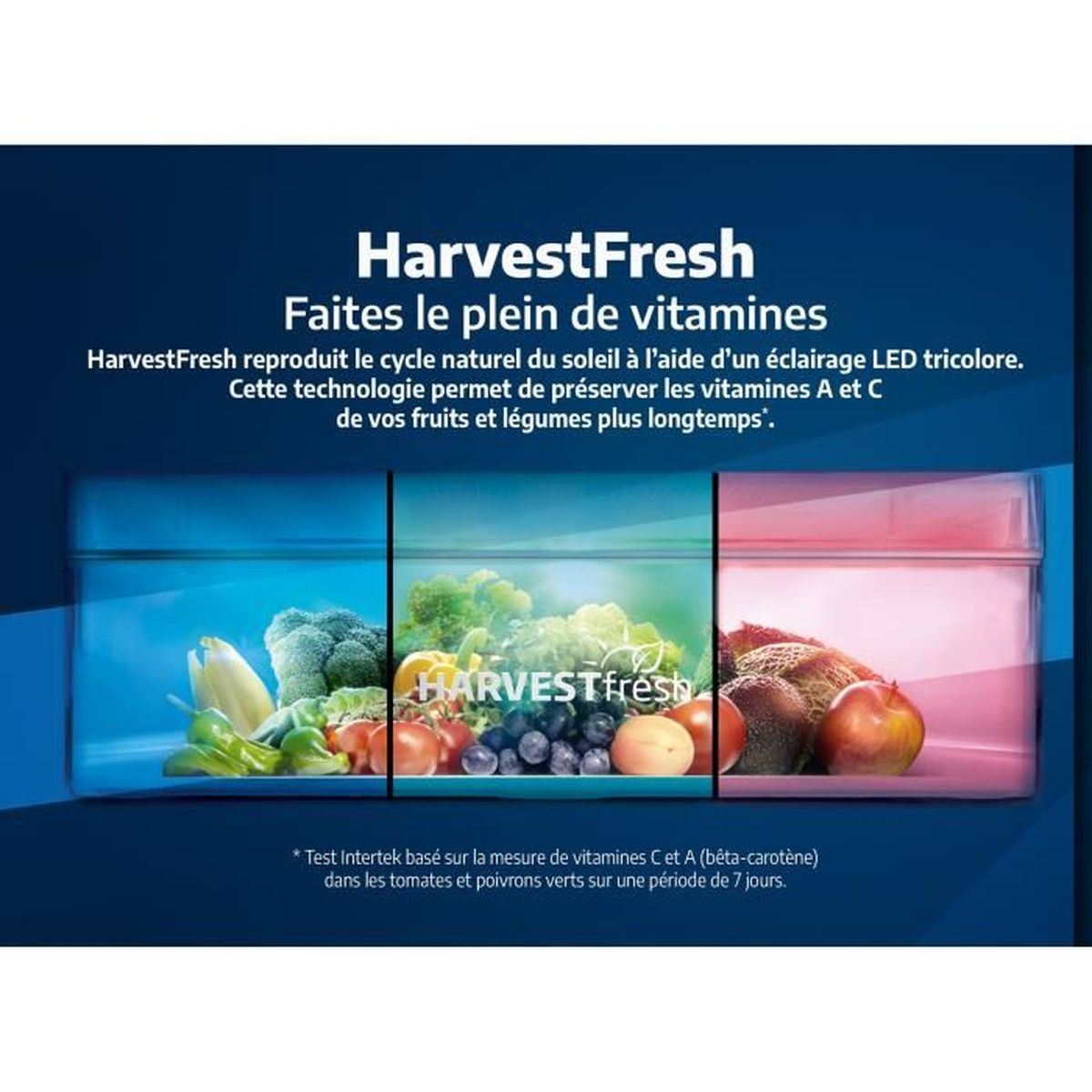 Drei Fächer mit Obst und Gemüse, beleuchtet von HarvestFresh-LEDs.