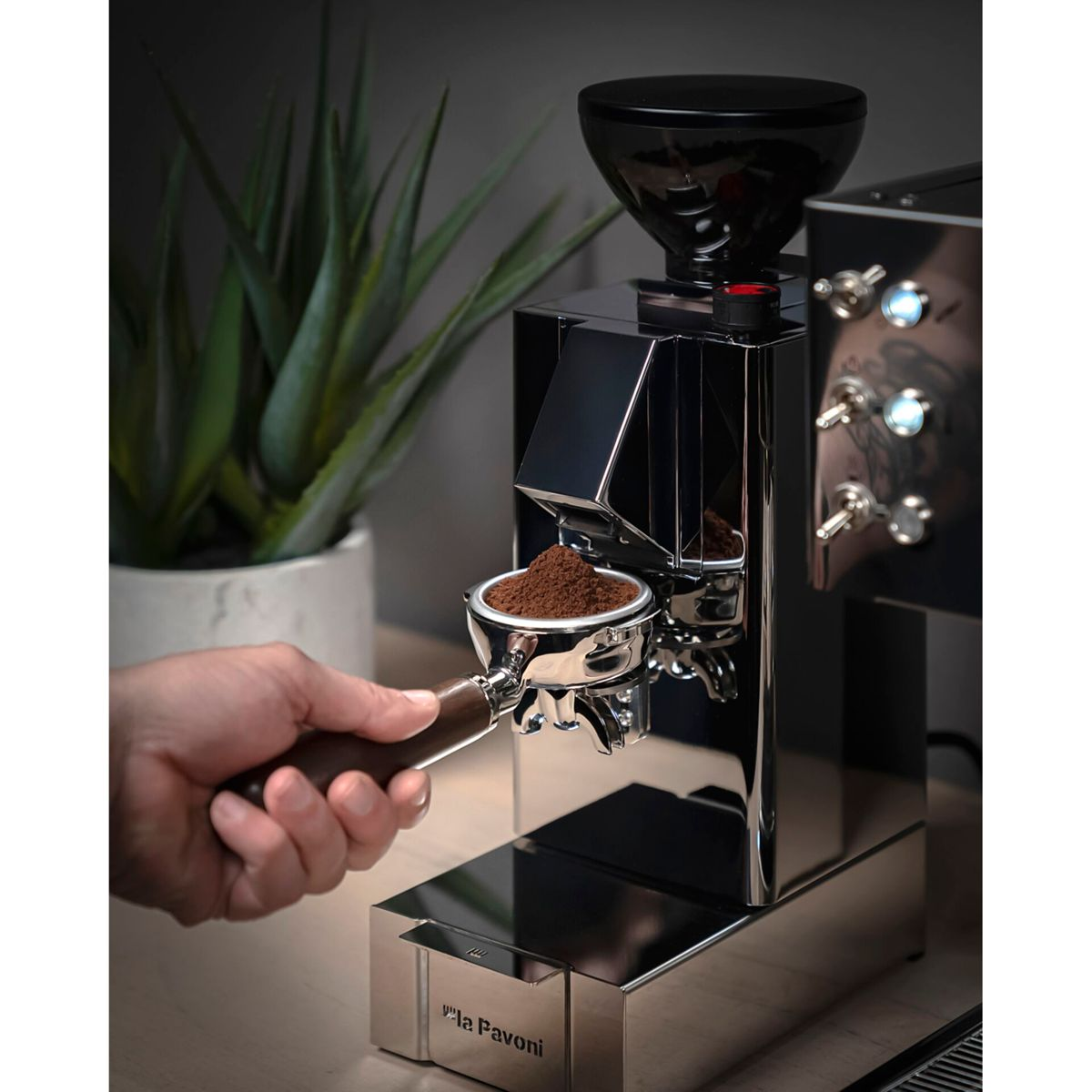 Una mano tiene un portafiltro con caffè macinato sotto un macinacaffè lucido.