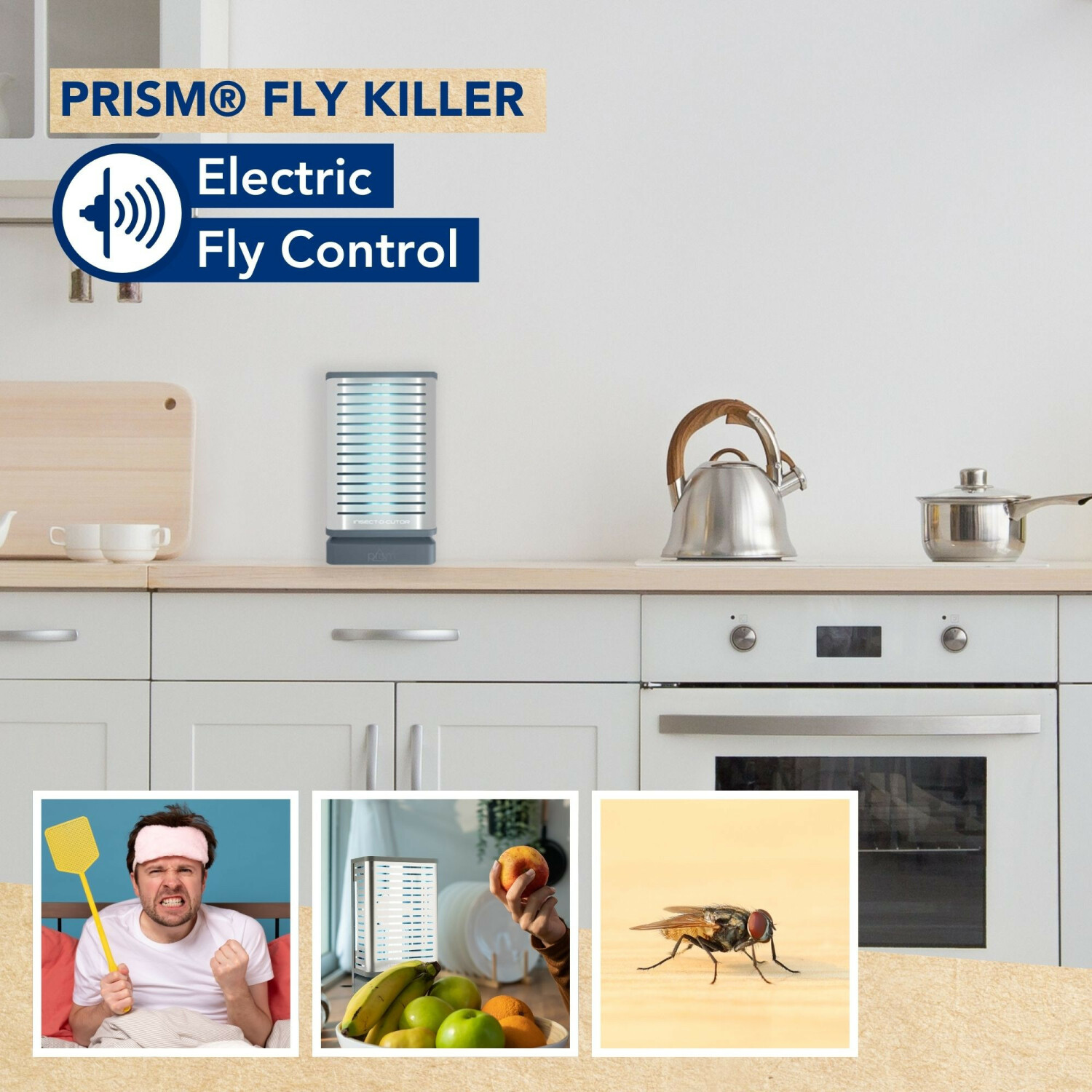 Kitchen counter with fly killer, fruit, and close-up of a fly.