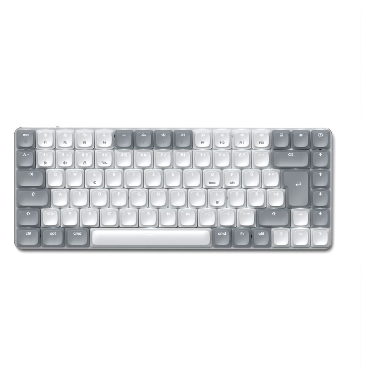 Eine Nahaufnahme einer zweifarbigen Tastatur mit grauen und weißen Tasten.