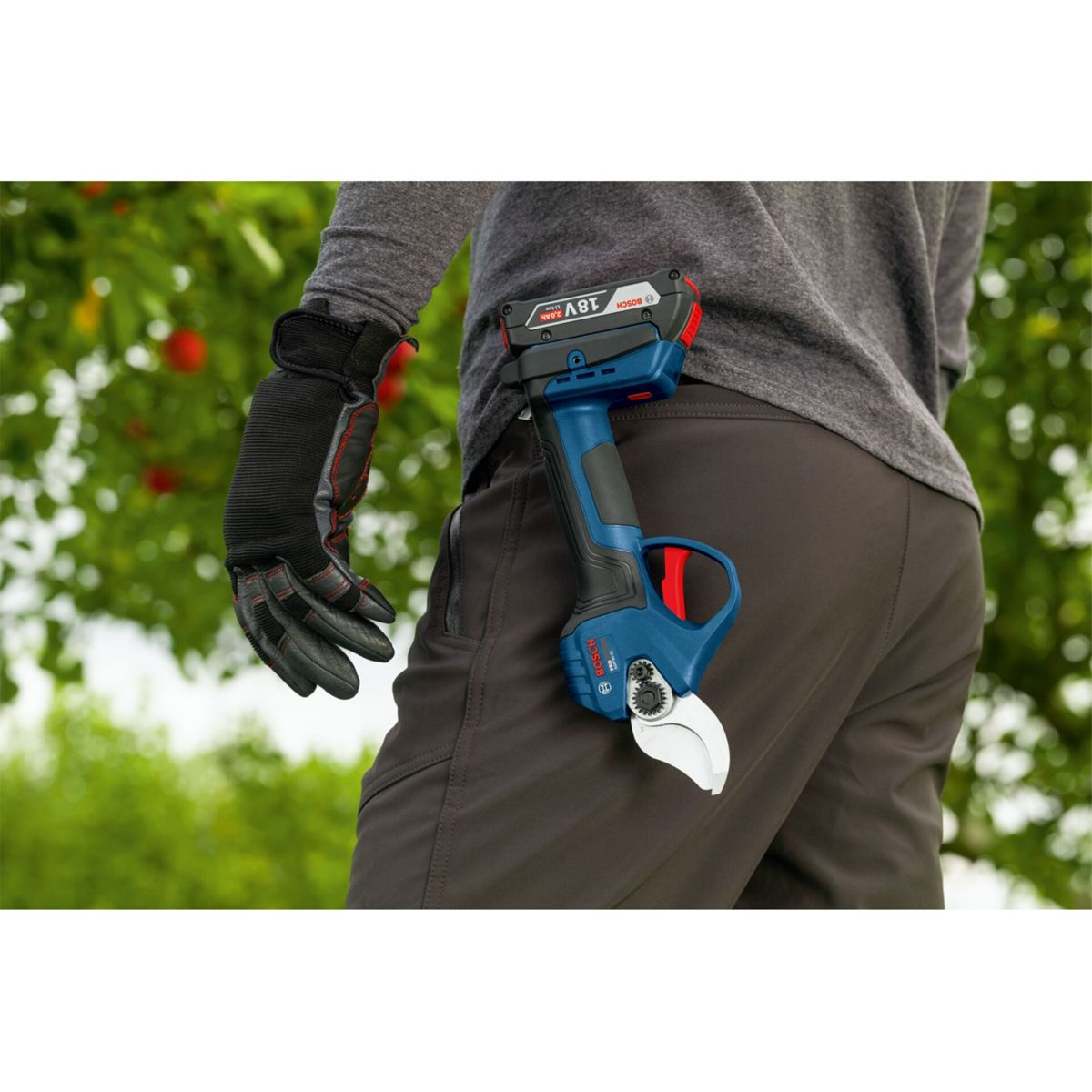 Ein Mann in dunkler Hose und grauem Hemd trägt eine blaue Gartenschere am Gürtel.