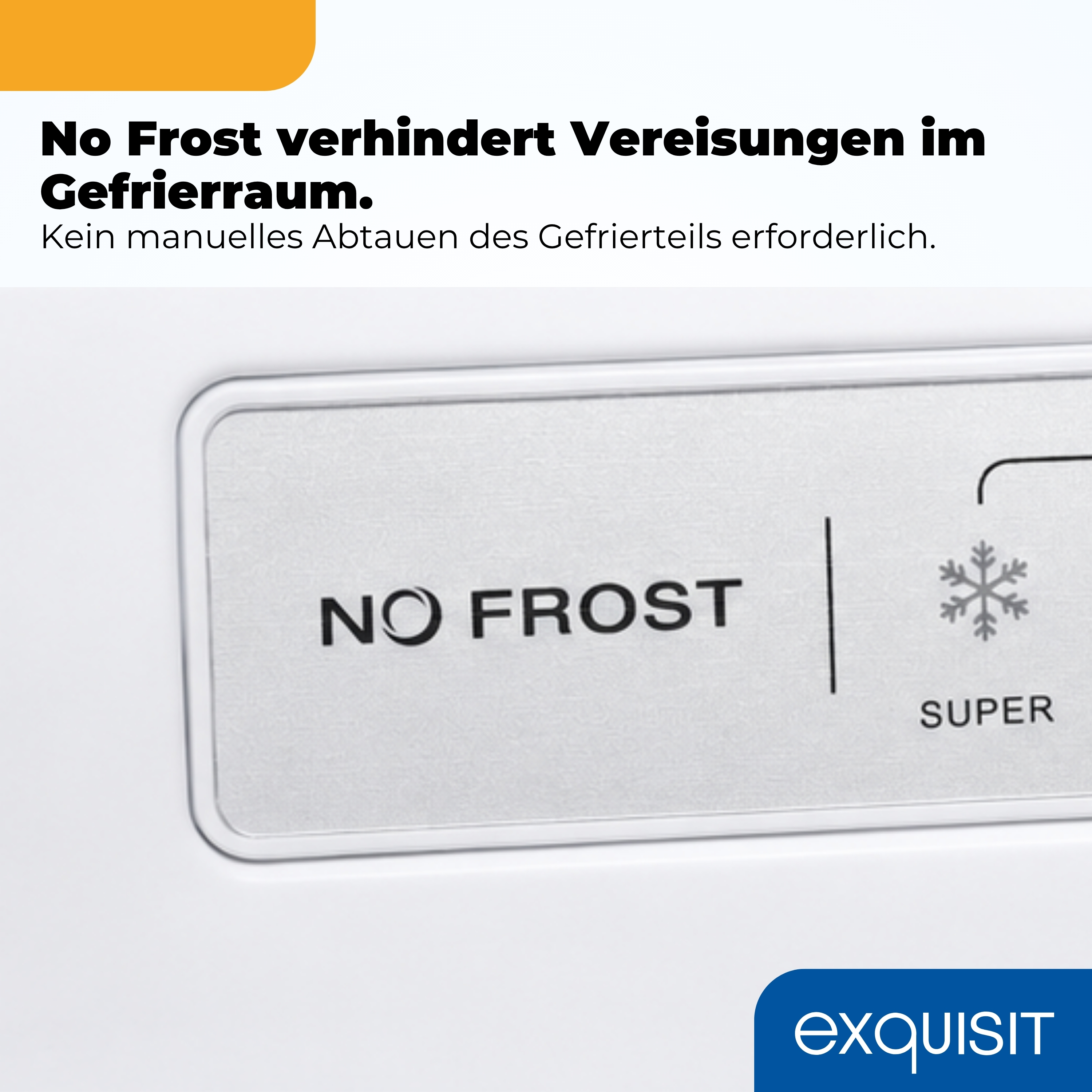 Nahaufnahme des "No Frost"-Logos auf einem weißen Kühlschrank.