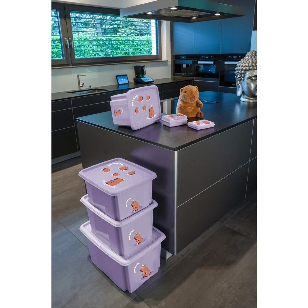 Lila Aufbewahrungsboxen mit Bärenmotiv in einer modernen Küche.