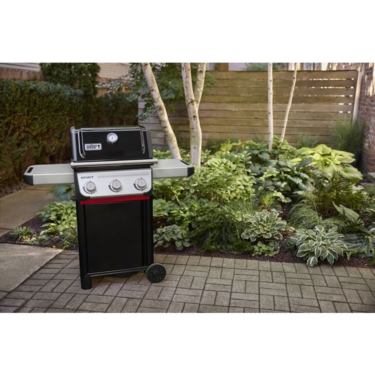 Ein schwarzer Weber Gasgrill steht auf einem gepflasterten Weg neben üppigen Pflanzen.