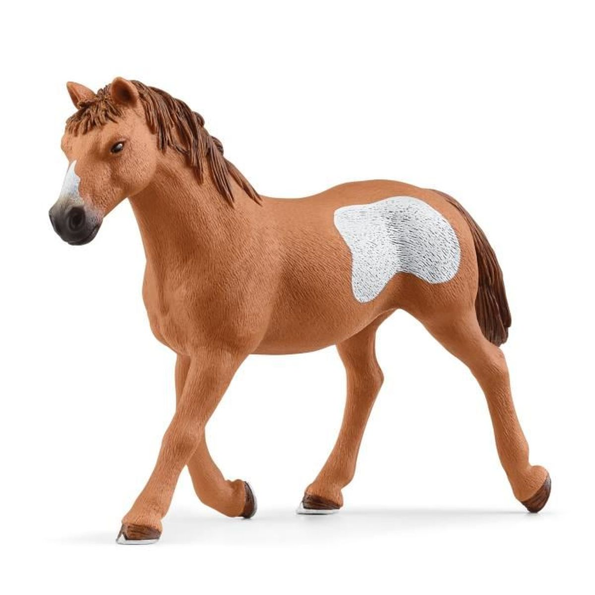 Ein braunes Pferd mit weißen Flecken geht nach links.