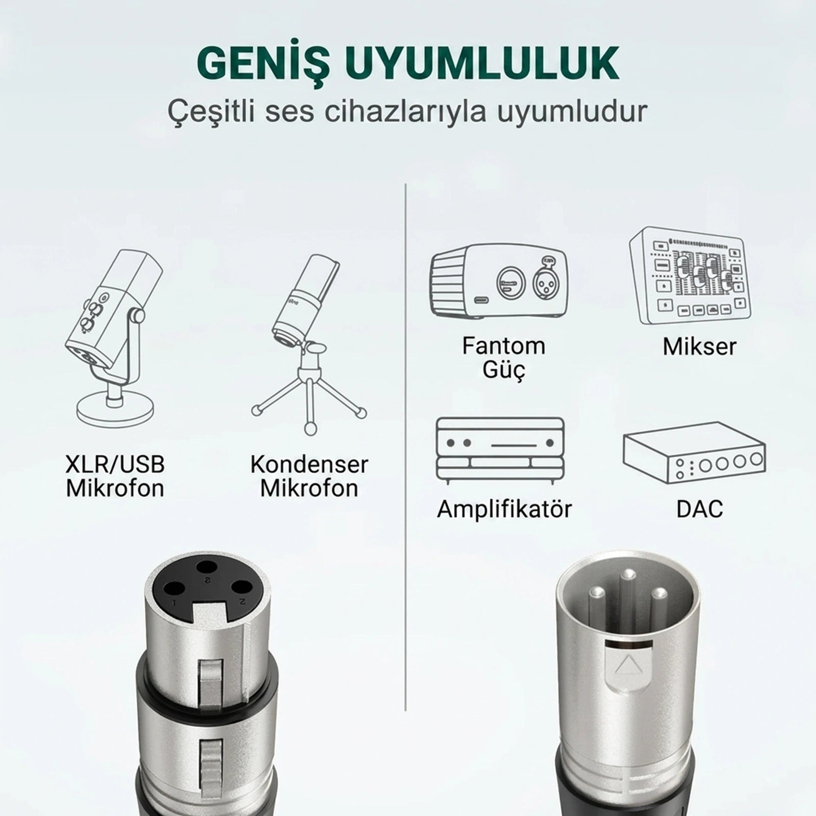 Mikrofon, fantom güç, mikser, amplifikatör ve DAC çizimleri.