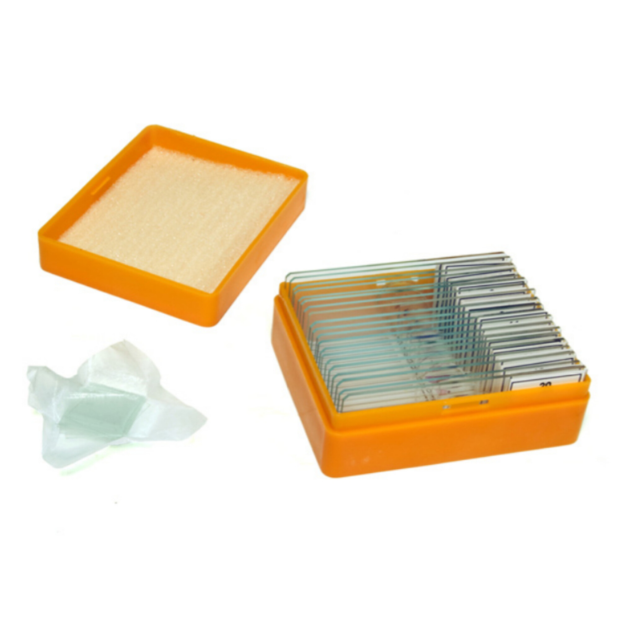 Ein orangefarbener Kasten mit Objektträgern und ein separater Deckel.