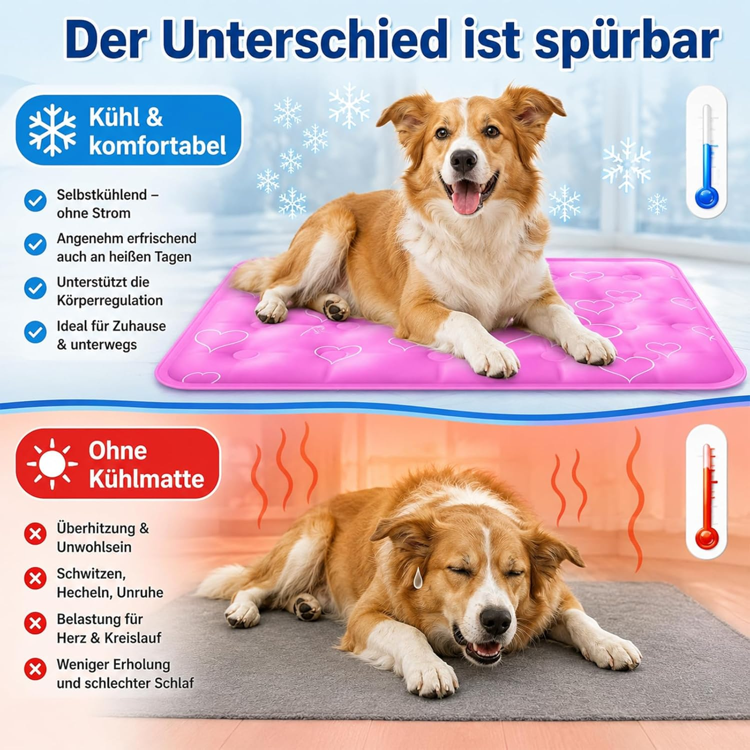 Hund auf Kühlmatte vs. Hund ohne Kühlmatte bei Hitze.