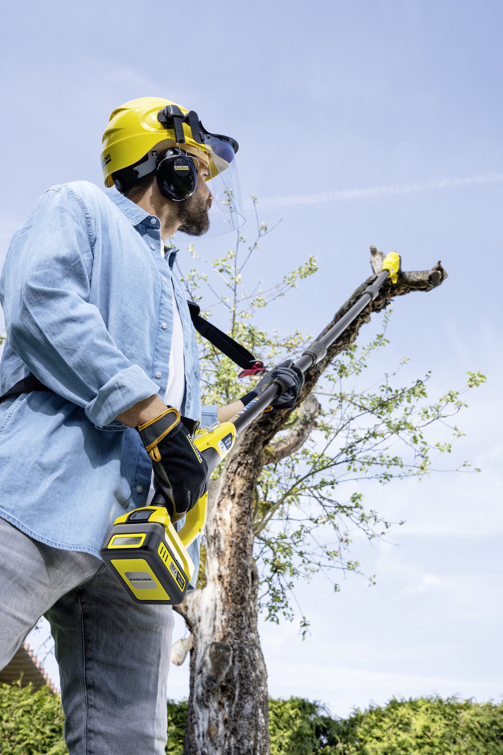 Mann in Schutzkleidung mit Kettensäge am Baum