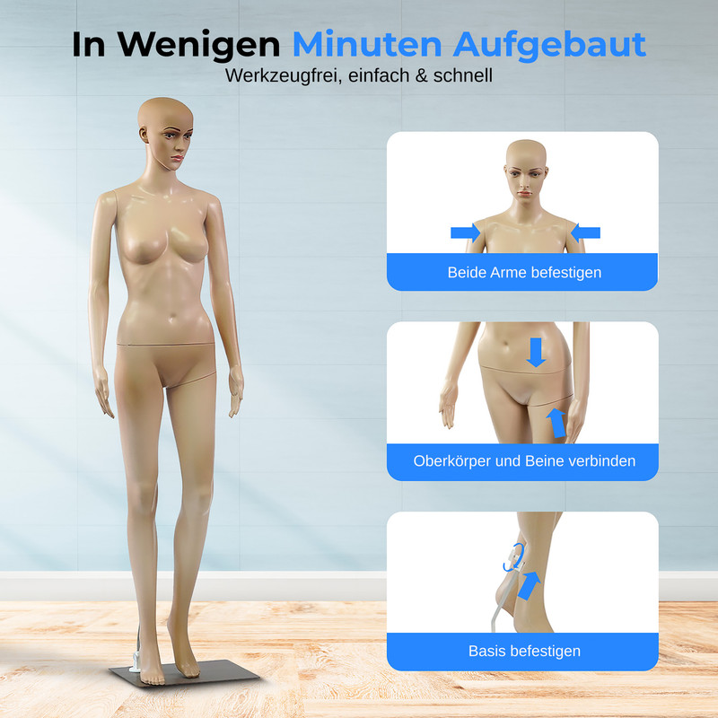 Eine weibliche Schaufensterpuppe wird schrittweise aufgebaut, mit Fokus auf Arme, Torso und Basis.