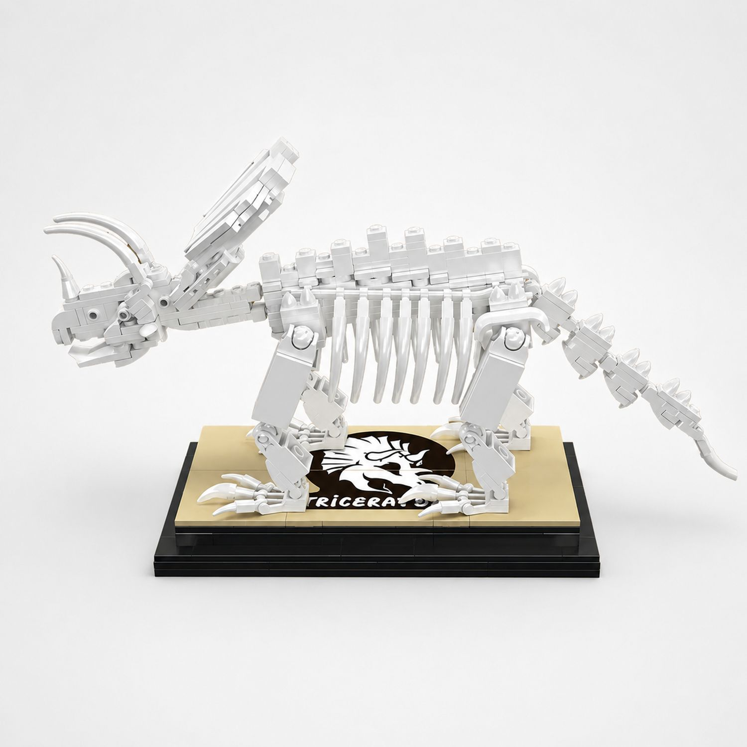 Modèle de squelette de Triceratops Lego blanc sur un présentoir.