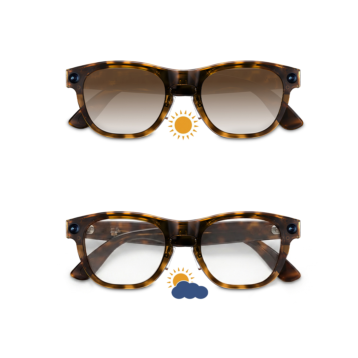 Gafas de carey con lentes tintadas y claras, con iconos de sol/nube.
