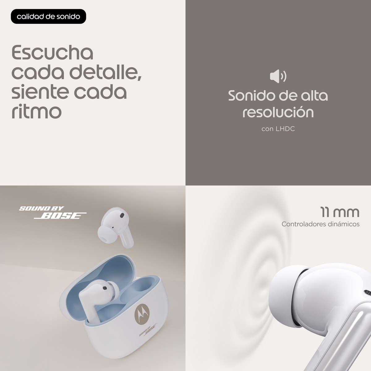 Auricolari bianchi con custodia di ricarica, logo Bose e simbolo Motorola. 11mm.