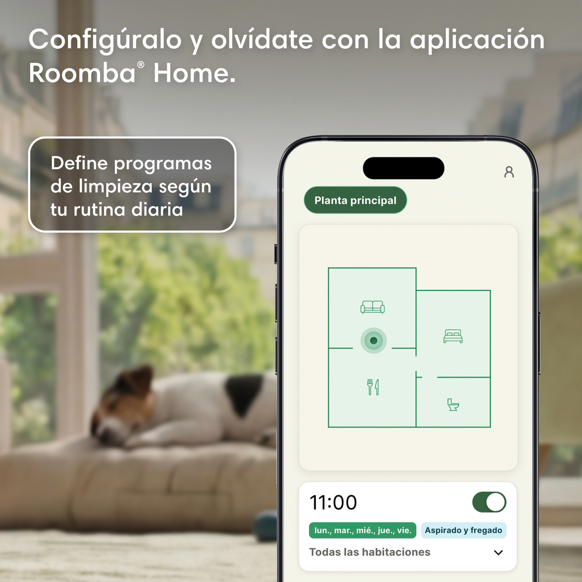 Uno smartphone mostra una mappa Roomba con programma di pulizia. Un cane dorme sullo sfondo.