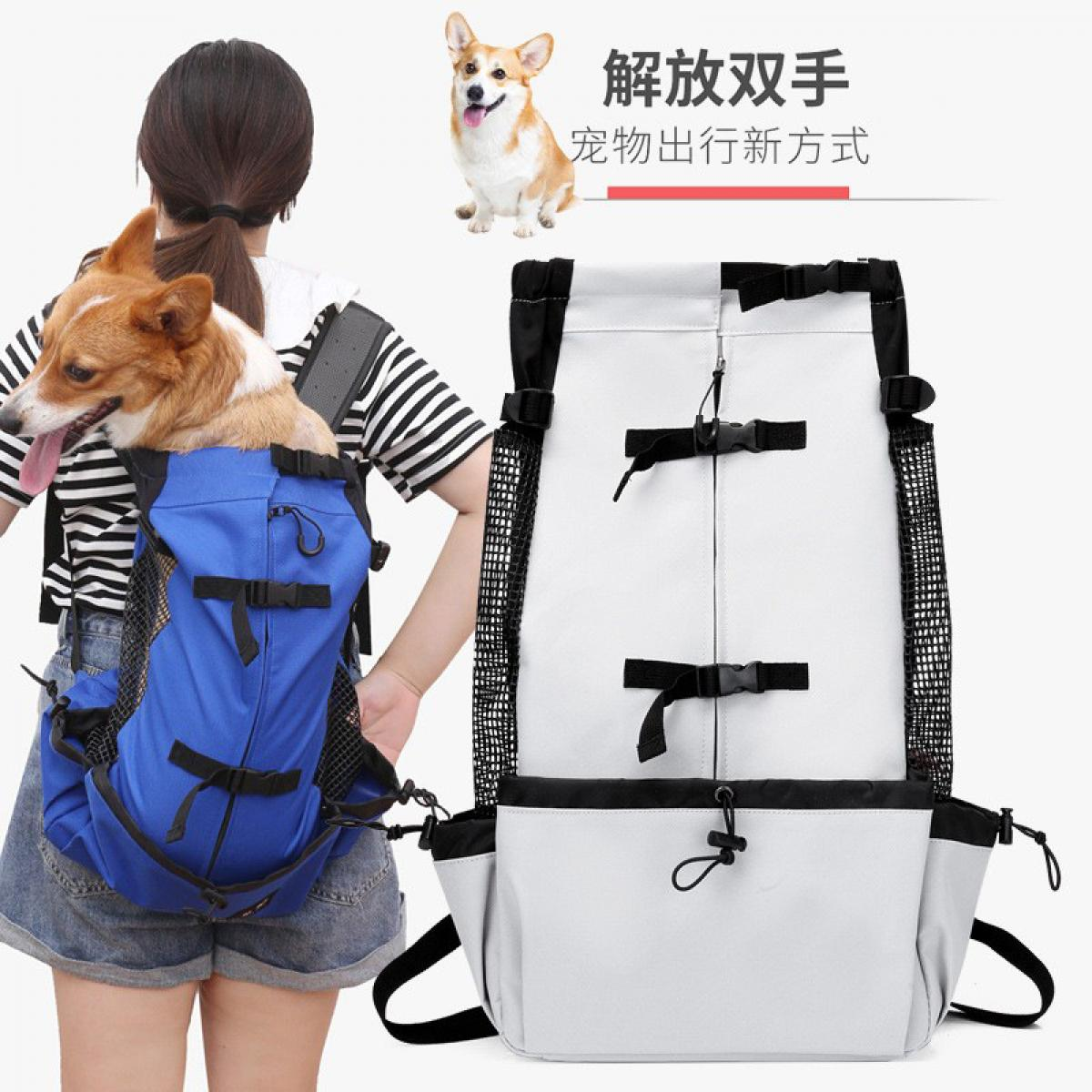 Eine Frau trägt einen Hund in einem blauen Rucksack. Ein zweiter Hund sitzt neben Schriftzeichen.