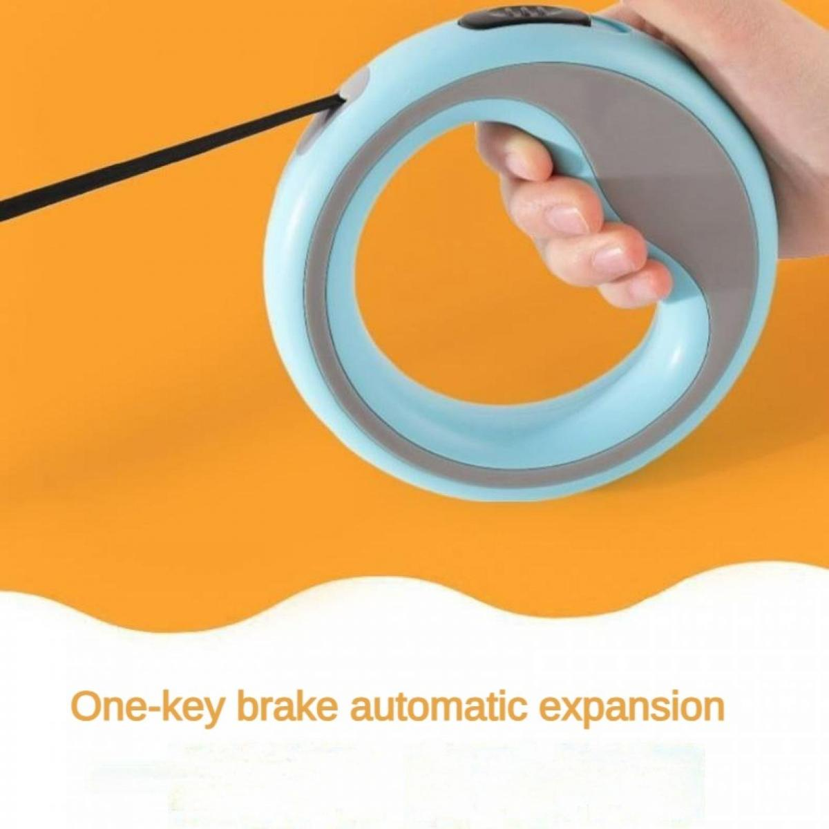 Eine Hand hält eine hellblaue Hundeleine mit einem grauen Griff. Orange Hintergrund.