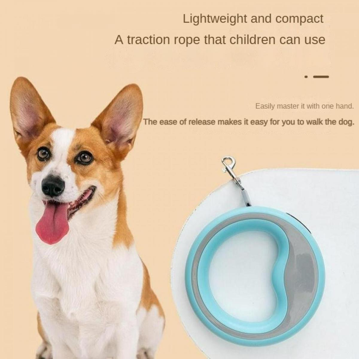 Ein Hund sitzt neben einer blauen und grauen Hundeleine. Leicht und kompakt.