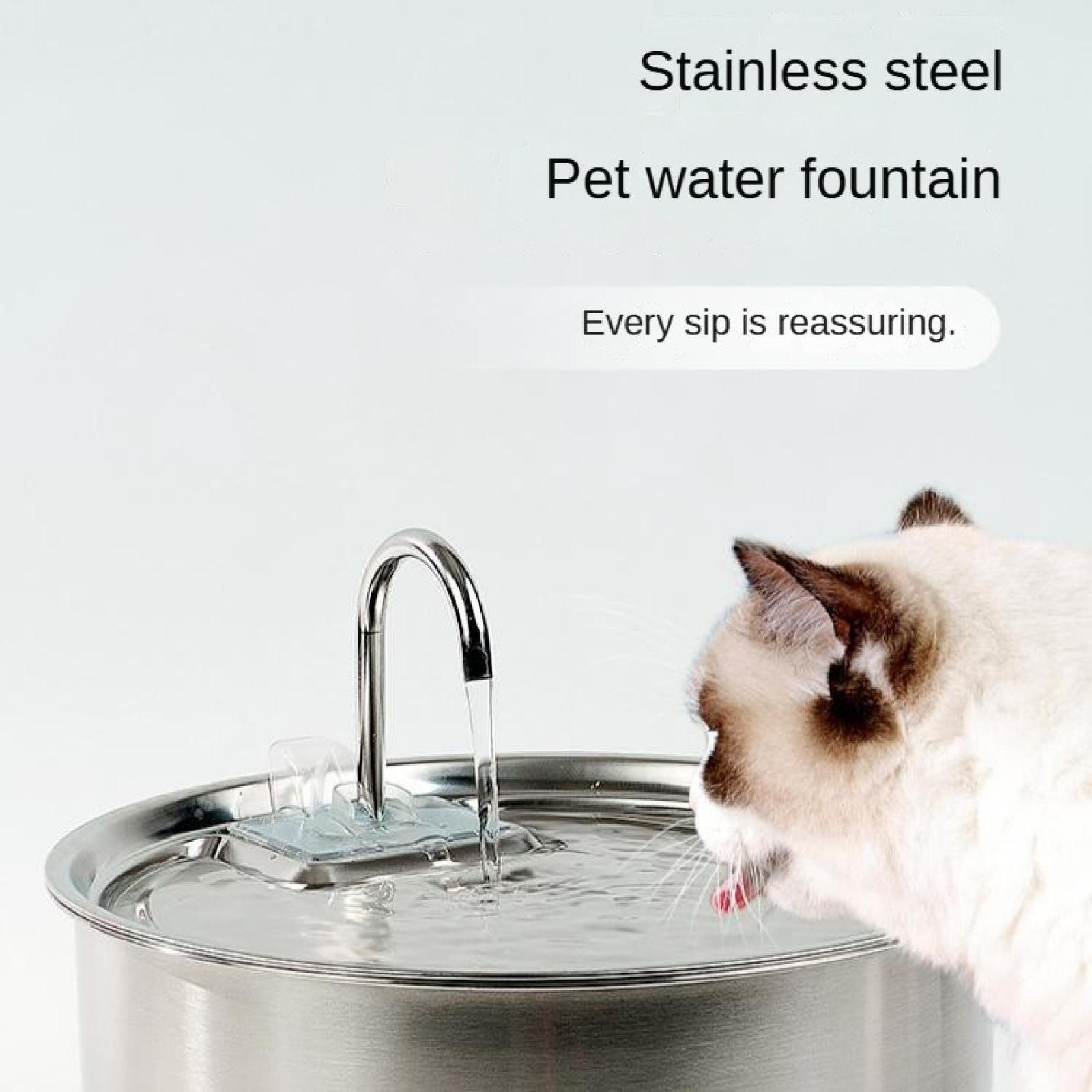 Eine Katze trinkt aus einem Edelstahl-Wassernapf mit fließendem Wasser.