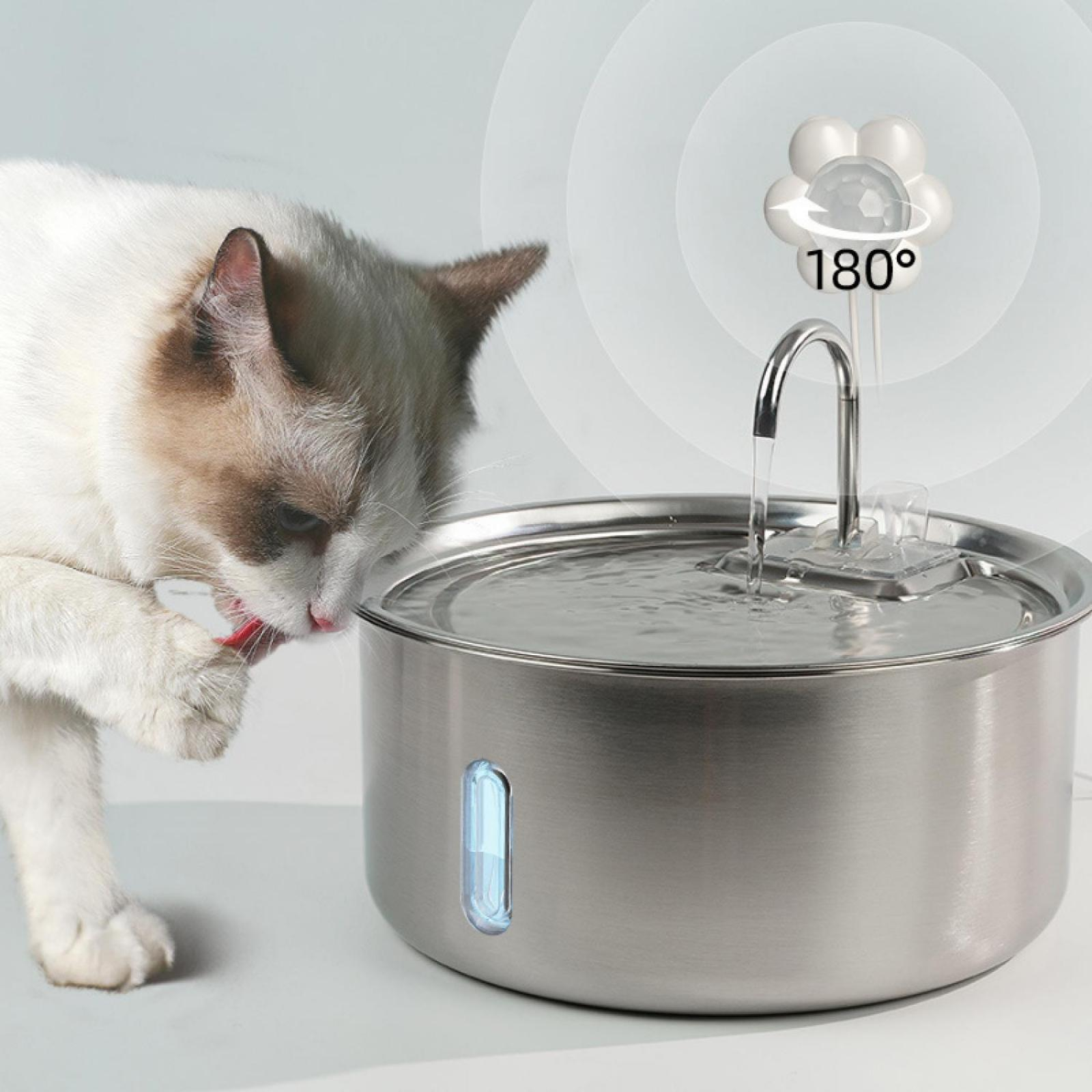 Eine Katze trinkt aus einem silbernen Trinkbrunnen mit einem Wasserhahn.