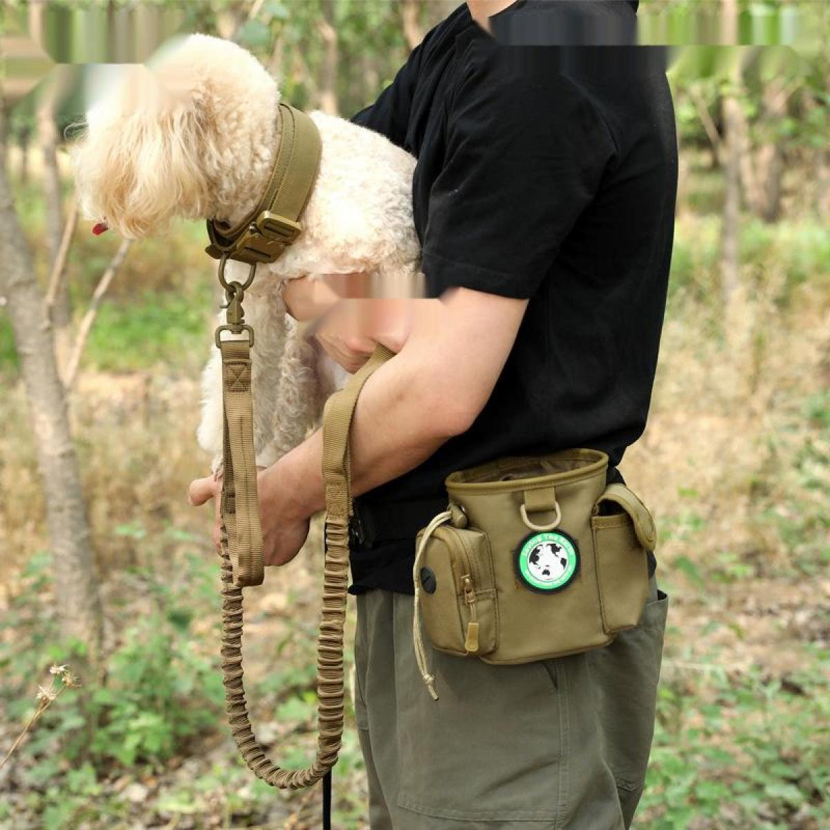 Eine Person hält einen kleinen, hellfarbenen Hund mit taktischem Halsband und Leine, dazu eine passende Bauchtasche.