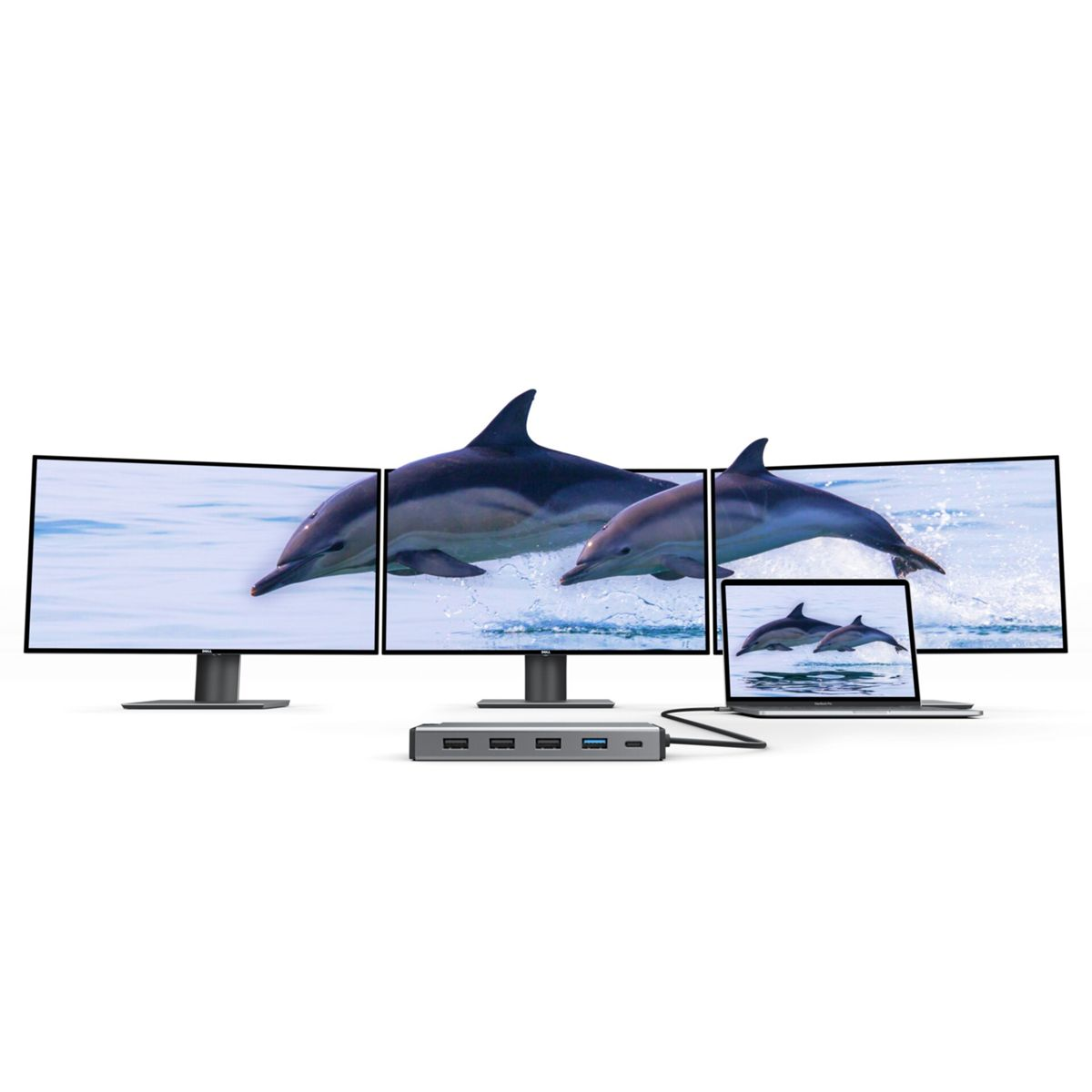 Trois moniteurs et un ordinateur portable affichent des dauphins qui sautent. Une station d'accueil grise est devant.
