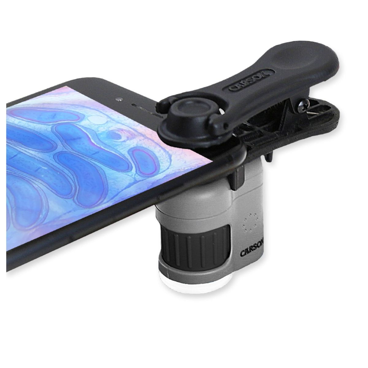 Ein Smartphone mit einem Aufsatzmikroskop und Klemmhalterung, das auf dem Bildschirm eine blaue Zellstruktur zeigt.