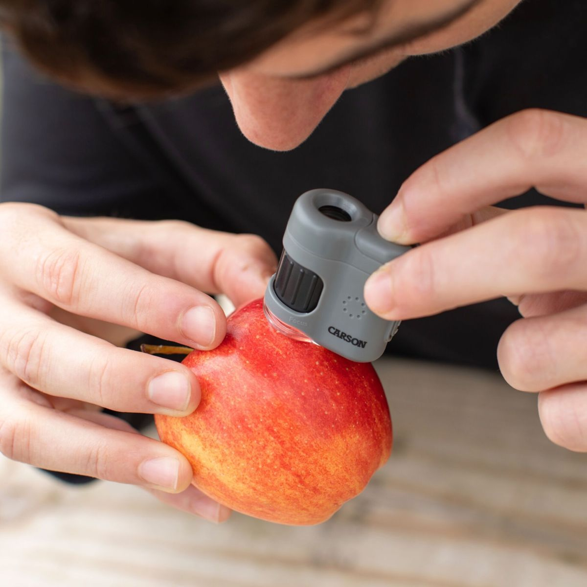Person untersucht Apfel mit Lupe. Hände halten Apfel und Lupe.