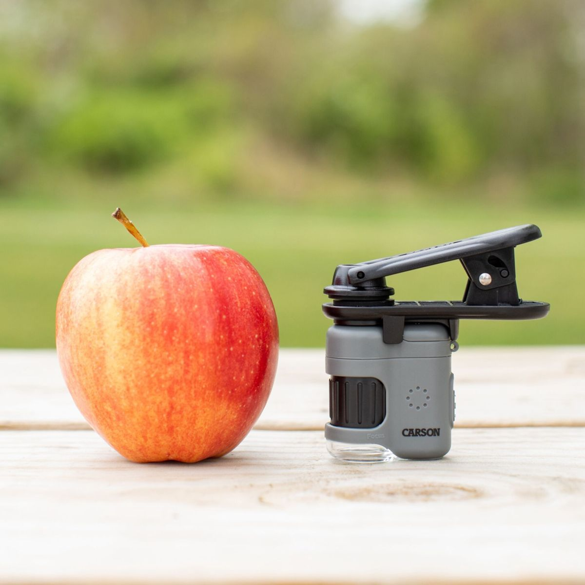 Ein roter Apfel und ein graues Carson-Mikroskop mit Clip liegen auf einem Holztisch.