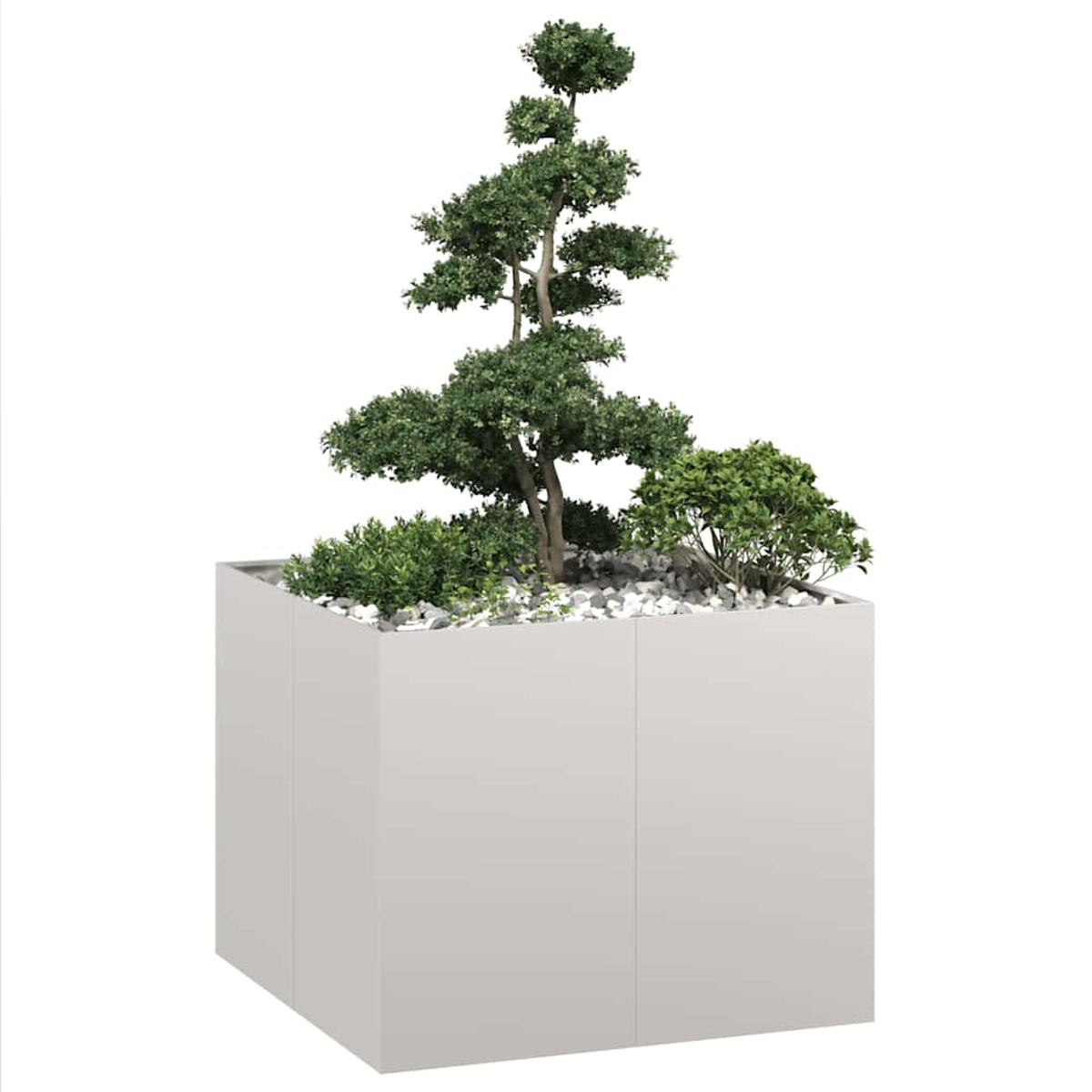 Un albero bonsai in un fioriera cubica grigia con pietre e cespugli.