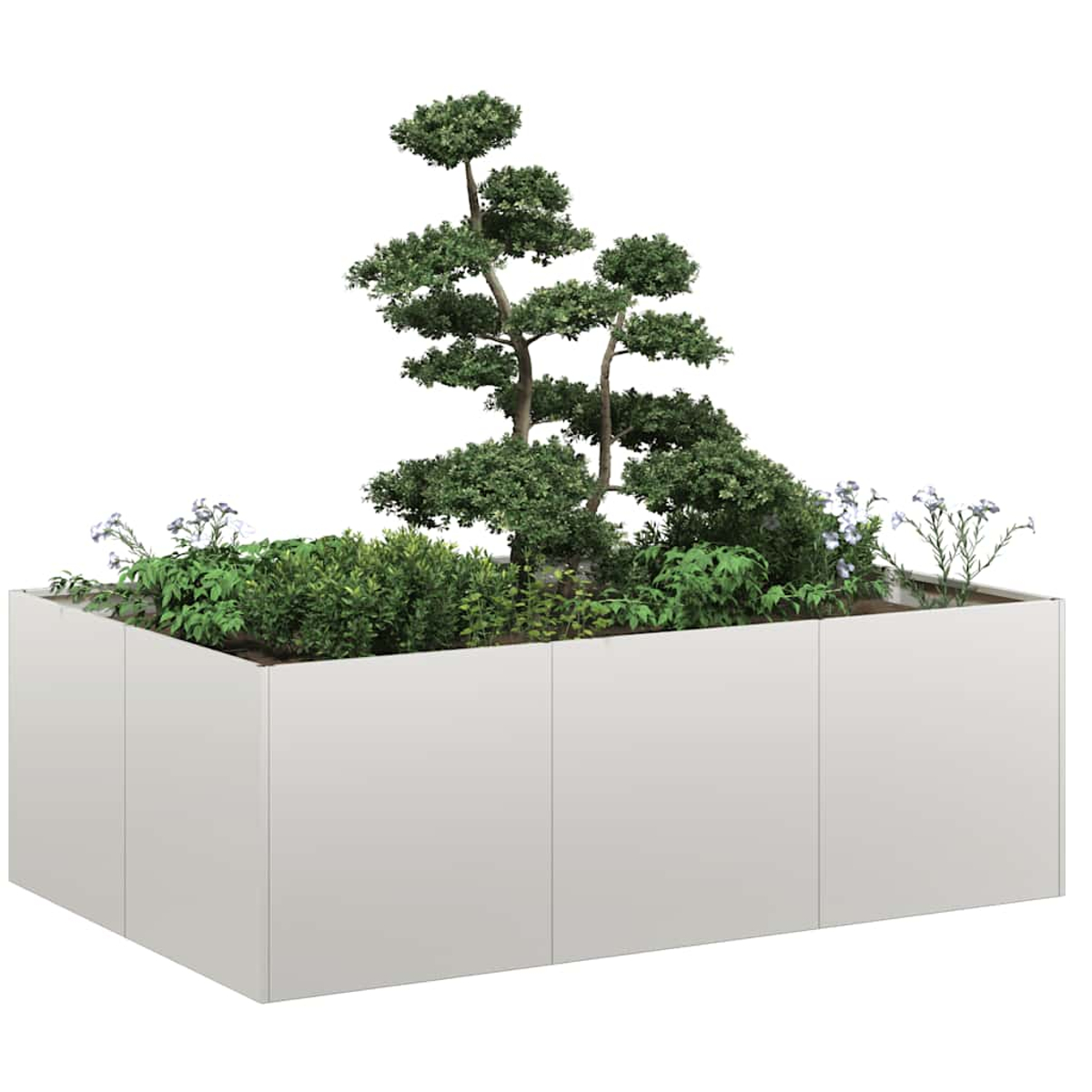 Una fioriera rettangolare bianca con un bonsai e cespugli bassi.