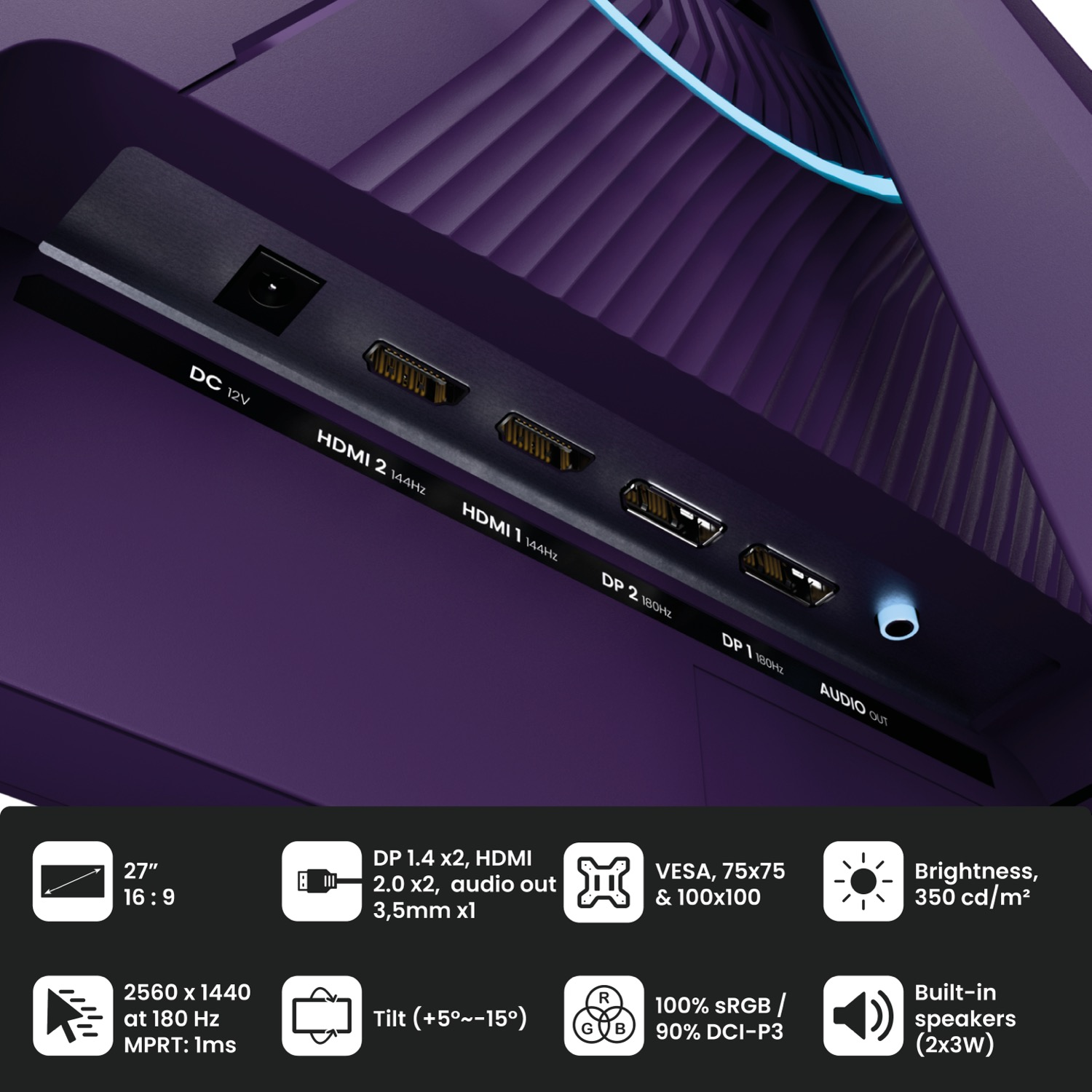 Lato di connessione di un monitor viola con porte DC 12V, HDMI, DP e Audio Out.