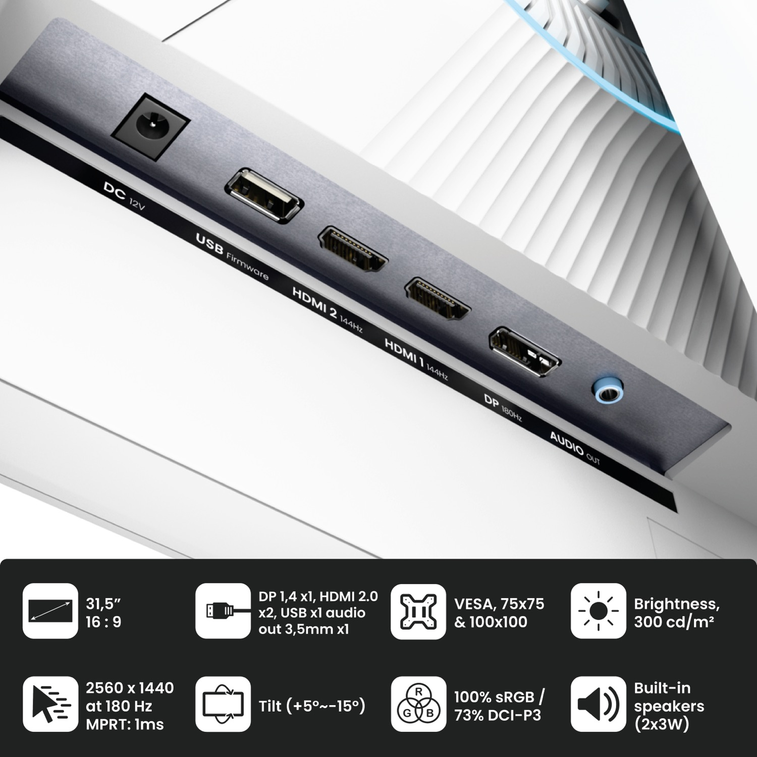 Pannello posteriore del monitor con porte DC, USB, HDMI, DP e Audio Out.