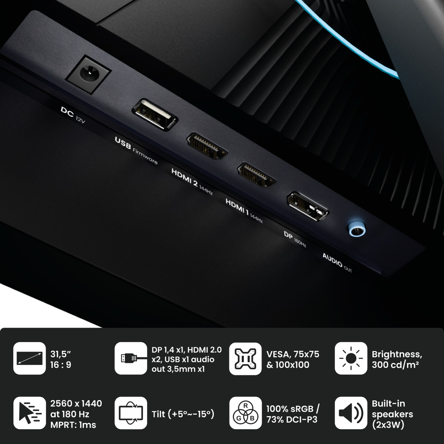 Pannello connessioni monitor con porte DC, USB, HDMI, DP e uscita audio.