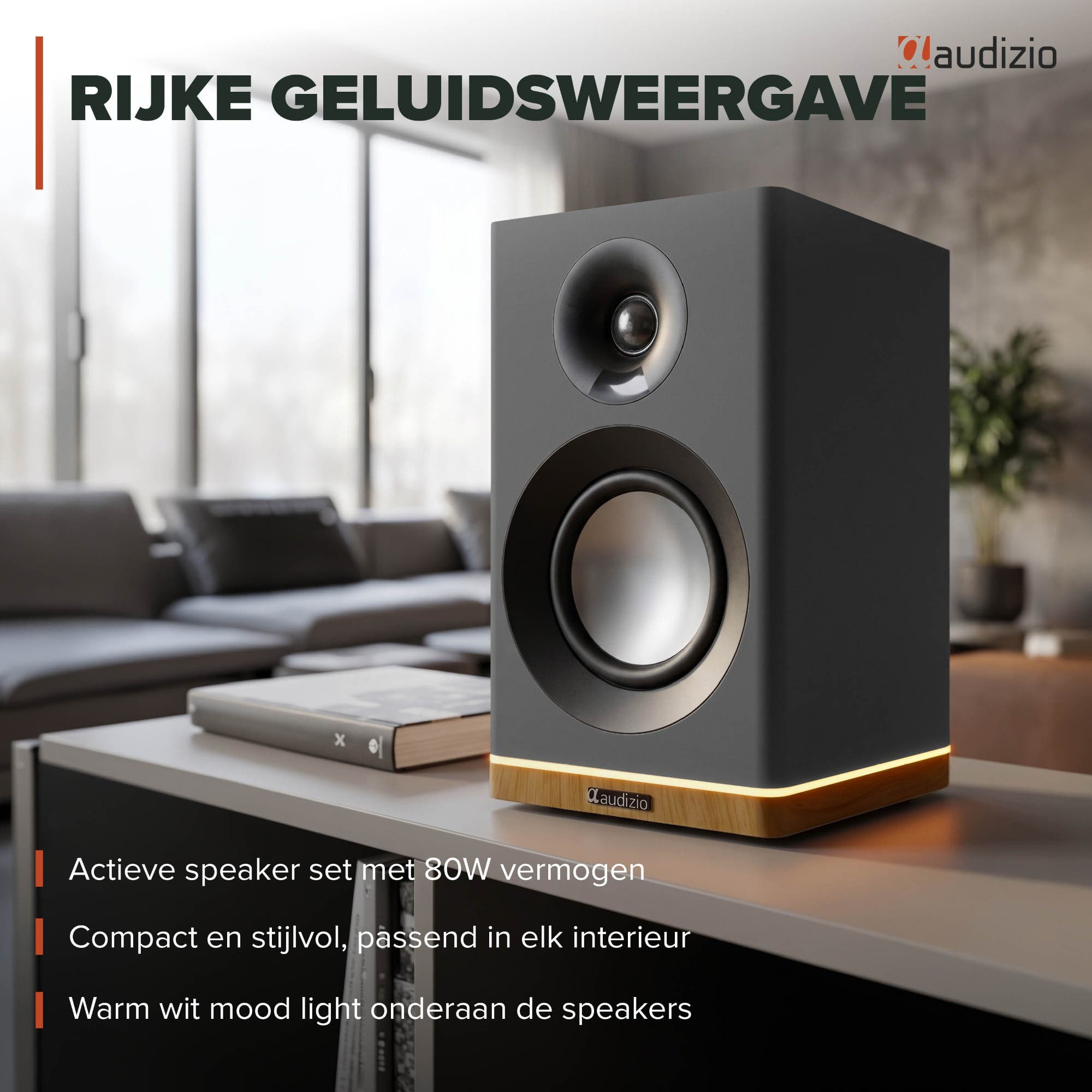 Altavoz gris con base de madera y luz, logo Audizio.