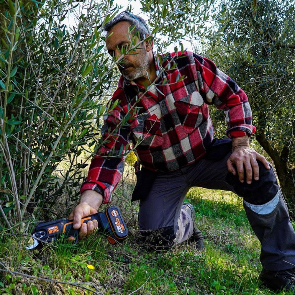 Mann im rot-karierten Hemd schneidet Olivenbaum mit elektrischer Schere.