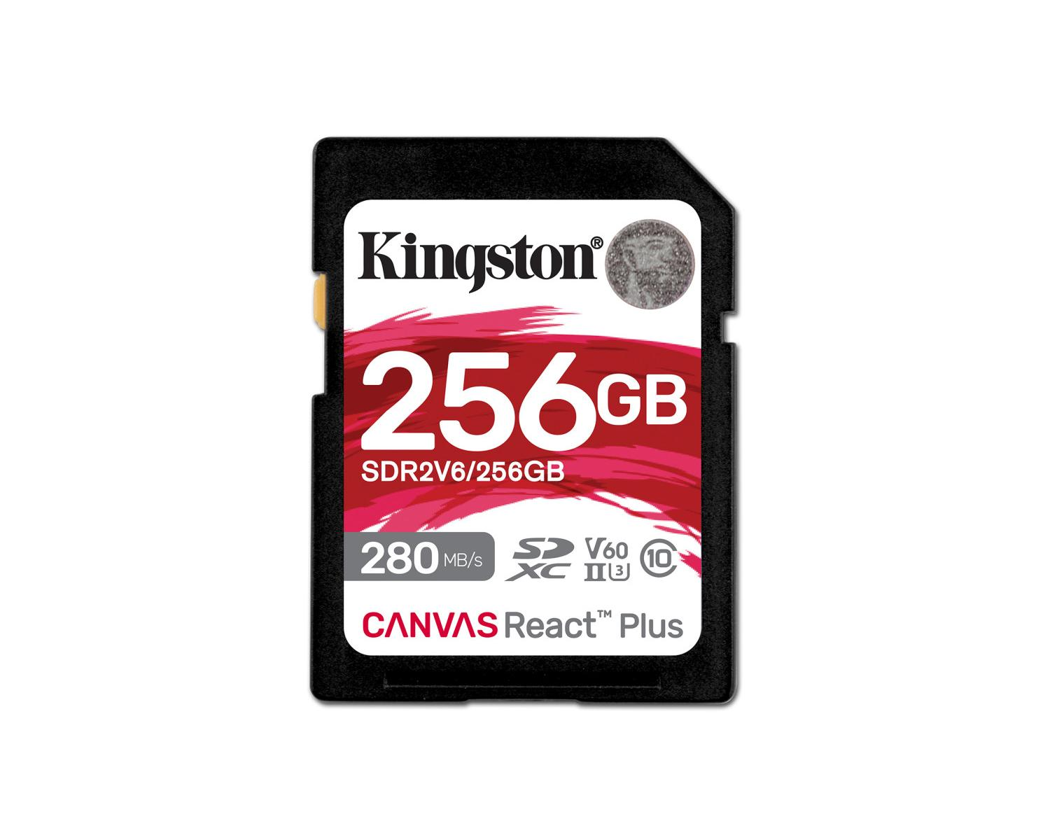 Scheda SD Kingston da 256 GB con
