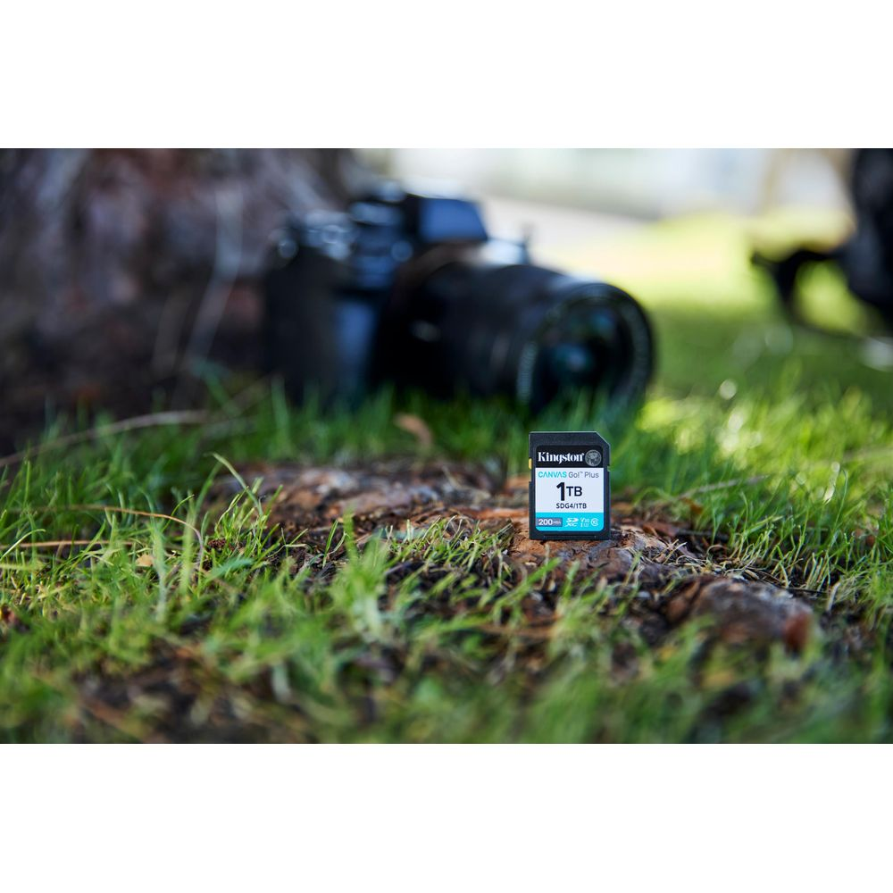 A Kingston 1TB SD card rests on grass next to a camera.