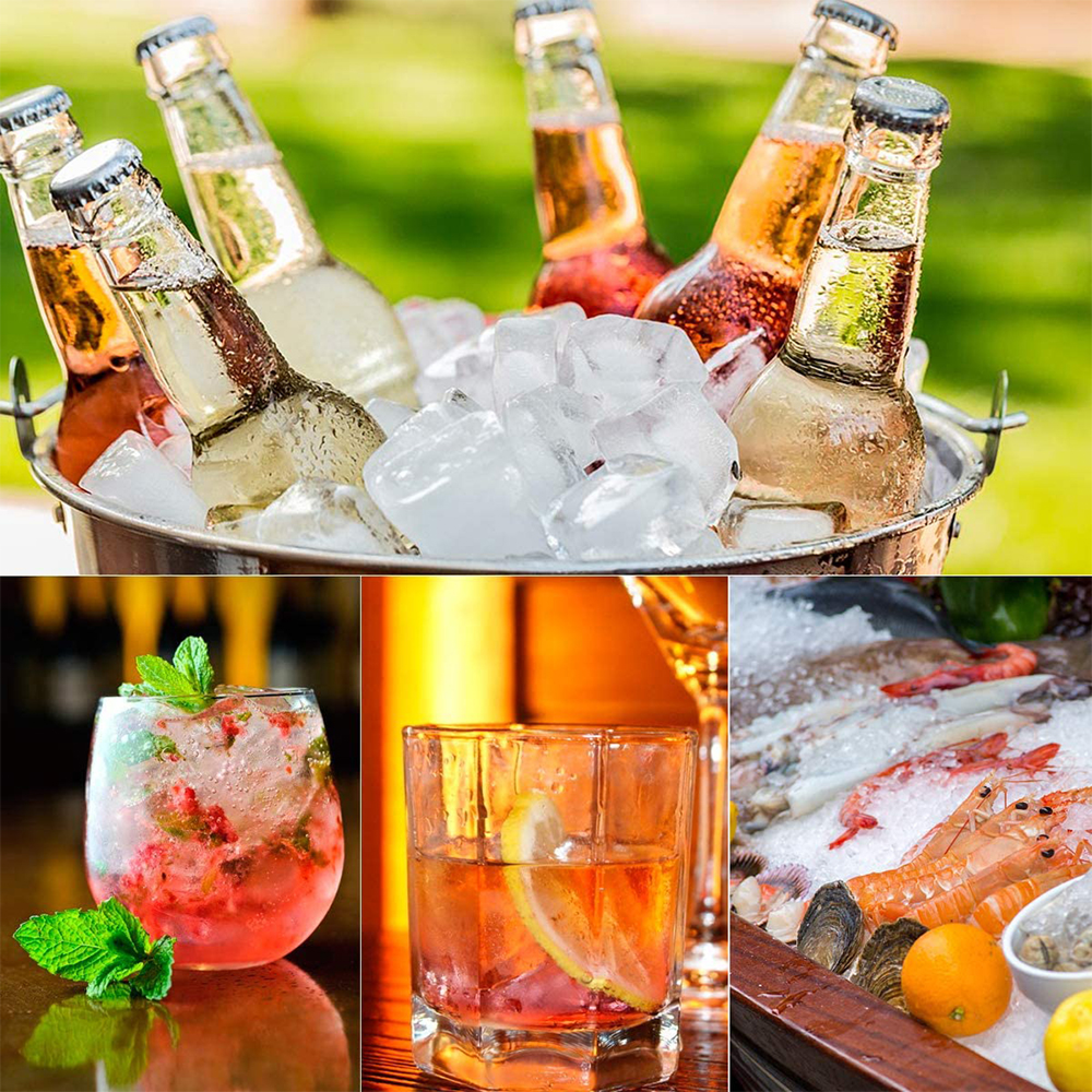Getränke im Eiskübel, Cocktail, Whiskey-Glas und Meeresfrüchte auf Eis.
